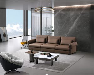 Compressed Sofa for Apartment Delivery: Lift, Hallway and Carton Checks